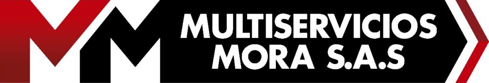 Multiservicios Mora